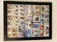 Preview: Bild mit Vogelbriefmarken ** / komplette Ausgaben