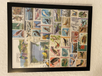 Preview: Bild mit Vogelbriefmarken ** / komplette Ausgaben