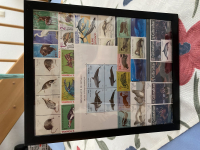 Bild mit Tierbriefmarken ** / Säugetiere - komplette Ausgaben