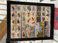 Bild mit Insektenbriefmarken ** / komplette Ausgaben