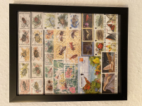 Preview: Bild mit Insektenbriefmarken ** / komplette Ausgaben