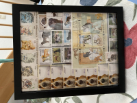 Bild mit Katzen - und Hunde Briefmarken ** / komplette Ausgaben