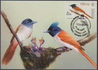 Kirgisien  2025  1 Wert auf  1 Maximumkarte  Paradiesvogel