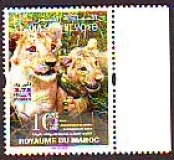 Marokko  2022  1 Wert  **  Löwen