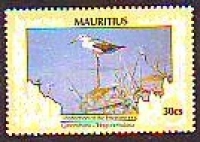 Mauritius  1990  1 Wert  **  Grünschenkel
