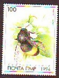 Moldawische Republik PMR  1994  1 Wert  **  Biene