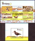 Niuafo'ou  2022  6 W. + 1 Bl.  **  KLB  Vögel - Birdpex