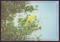 Paraguay  2015  1 Block  **  Blaustirnamazone