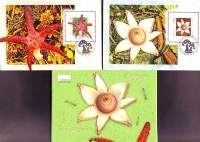 Preview: Rumänien  2022  6 Werte auf  6 Maximumkarten  Pilze