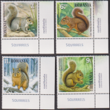 Rumänien  2025  4 Werte  **  Eichhörnchen
