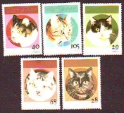 Sahara O.C.C.  1995  5 Werte  **  Katzen