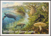 Preview: Sierra Leone  2026  1 Wert auf  1 Maxikarte  Wildlife of Sierra Leone