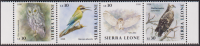 Sierra Leone  2026  4 Werte  **  ZD  Vögel