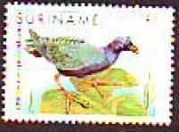 Surinam  1985  1 Wert  **  Purpurralle