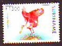 Surinam  1994  1 Wert  **  FM Vögel