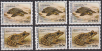 Süd - Sudan  2026  6 Werte  **  Frosch / Schildkröte