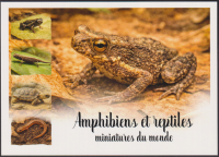 Preview: Togo  2026  4 Werte auf  1 Maxikarte  Reptilien