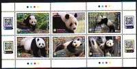 Tonga  2022  6 Werte  **  KLB  Pandabären