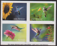 U S A  2024  4 Werte  **  ZD  Kolibris