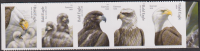 U S A  2026  5 Werte  **  ZD  Weißkopfseeadler