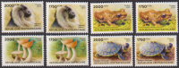 Zentralafrika  2025  8 Werte  **  Schildkröte / Frosch / Pilze / Affe
