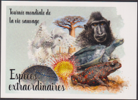 Preview: Zentralafrika  2026  2 Werte auf  1 Maximumkarte  Eule / Fauna / Pilz