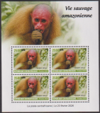 Zentralafrika  2026  4 Werte  **  KLB  Affe - Amazonas