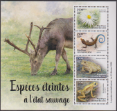 Zentralafrika  2026  4 Werte  **  KLB  Frösche / Salamander / Blume