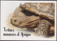 Preview: Zentralafrika  2026  4 Werte auf  1 Maximumkarte  Schildkröten