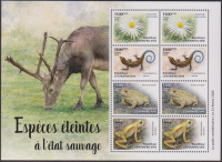 Zentralafrika  2026  8 Werte  **  KLB  Frösche / Salamander / Blume