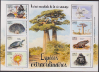 Zentralafrika  2026  8 Werte  **  KLB  Reptilien / Affe / Eule / Pilz / Blume