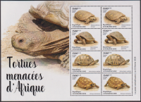 Zentralafrika  2026  8 Werte  **  KLB  Schildkröten