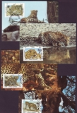 Afghanistan  1985  4 Werte auf 4 MK  Leopard  WWF