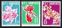 Albanien  1961  3 Werte  **  Heimische Blumen