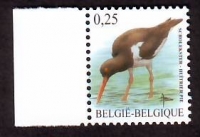 Belgien  2002  1 Wert  **  Austernfischer