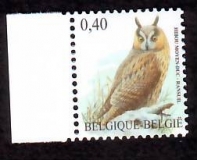 Belgien  2007  1 Wert  **  Waldohreule