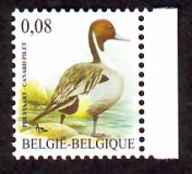 Belgien  2011  1 Wert  **  Spießente