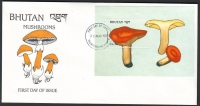 Bhutan  1989  1 Brief mit 1 Block  Pilze