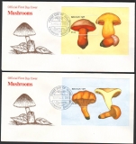 Bhutan  1989  2 Briefe mit je 1 Block  Pilze