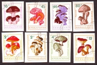 Bulgarien  1961  8 Werte  B  gestempelt  Pilze