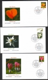 Bundesrepublik  2006  5 Werte auf  5 FDC  Blumen  FM