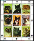 Cherkesia  1999  9 Werte  **  KLB  Katzen