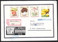 D D R  1984    1 Brief mit Pilzmarken