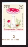 D D R  1974  1 Wert  **  Probedruck  Fliegenpilz