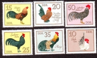 D D R  1979  6 Werte  **  Rassegeflügel
