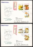D D R  1980  6 Werte auf  2 Briefen  Speisepilze  gelaufen  (15)