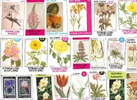 Preview: Eynhallow - Inseln  1980-82  92 W. + 26 Bl.  **  Flora