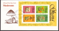 Ghana  1993  1 Brief mit 1 Block  Pilze
