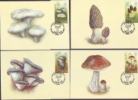 Kirgisien  2017  4 Werte auf  4 Maximumkarten  Pilze
