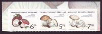 Dänemark - Grönland  2005  3 Werte  **  ZD  s. kl.  Speisepilze